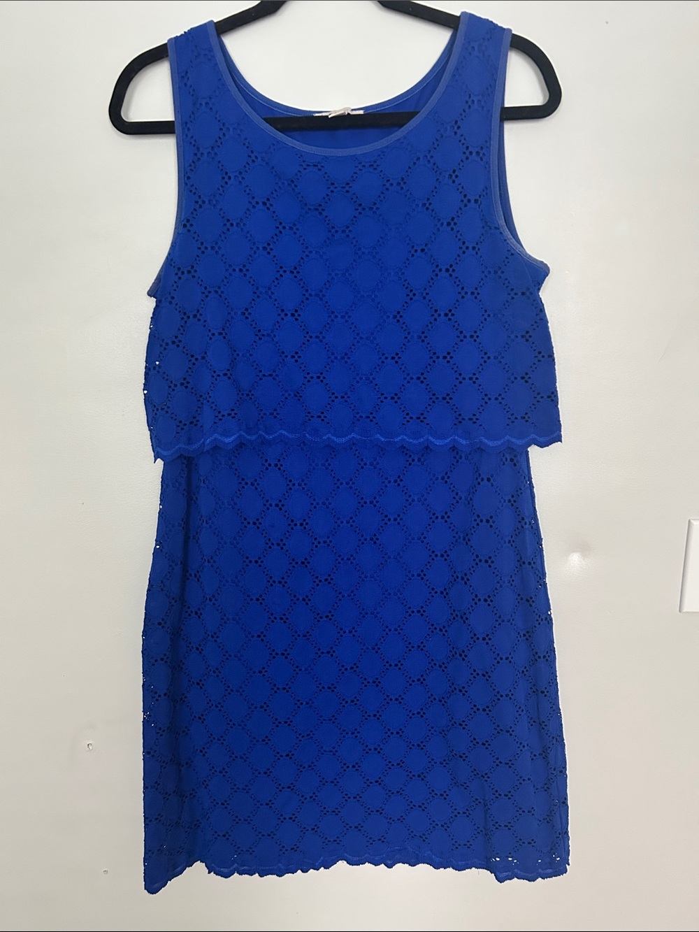 Vintage Dress Barn Eyelet Overlay Dress in Royal Blue